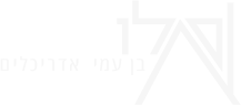 סלו אדריכלים